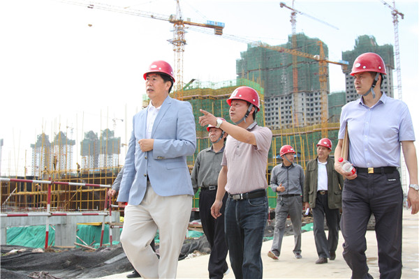 3王董事长视察恒大金碧新城项目施工现场_副本