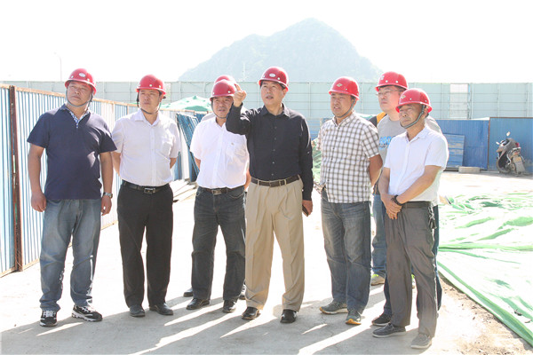 7王董事长视察华山一区教育地块项目_副本